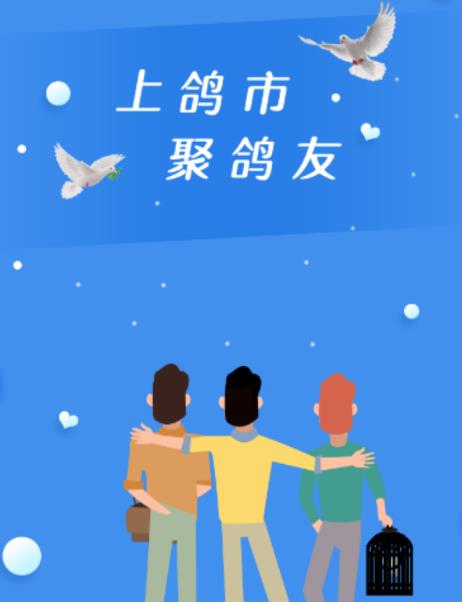 鸽市