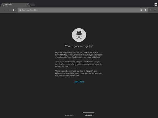 Chrome iPad版下载