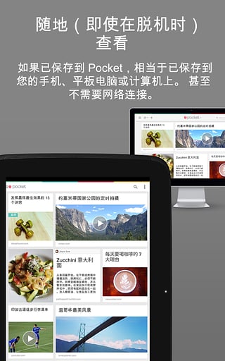 Pocket苹果版下载