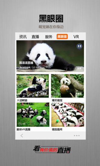 金熊猫app苹果版下载
