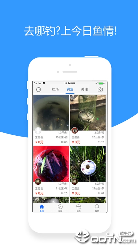 今日鱼情app下载