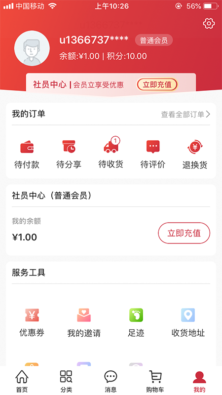 晓百合