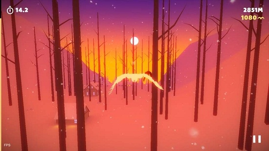 WhiteTrip(白色之旅)