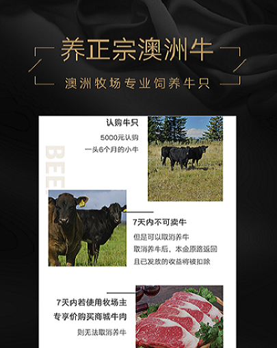 口袋牧场