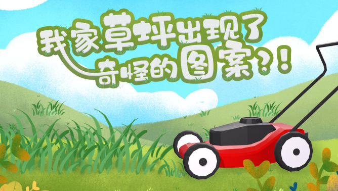 我家草坪上浮现出的奇异图案