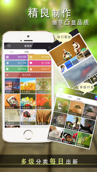 爱壁纸HD iPhone版下载