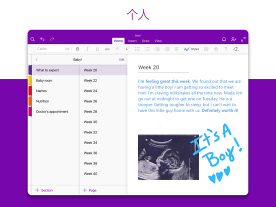 Microsoft OneNote iPad版