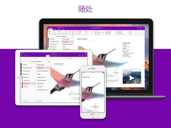 Microsoft OneNote iPad版
