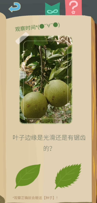 老农种树游戏
