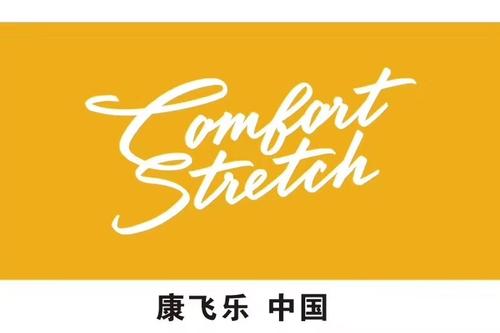 康飞乐