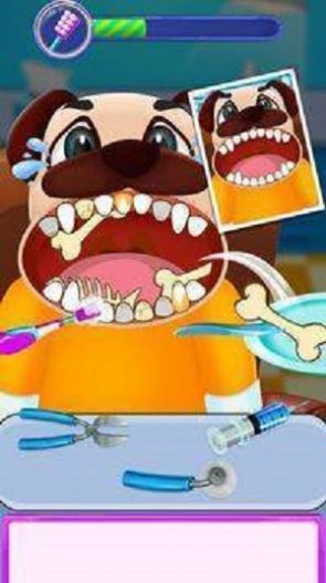 Animal Dentist(动物牙医手术)