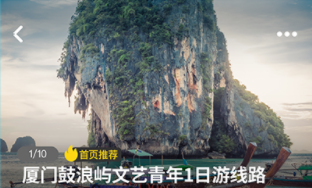 海鸟飞鱼