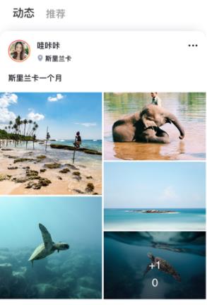 花客聊天app