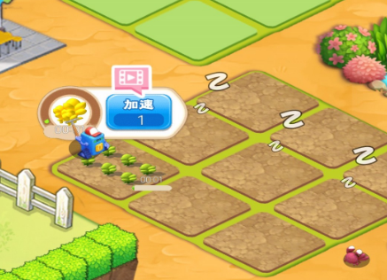 全民爱种菜 全民爱种菜