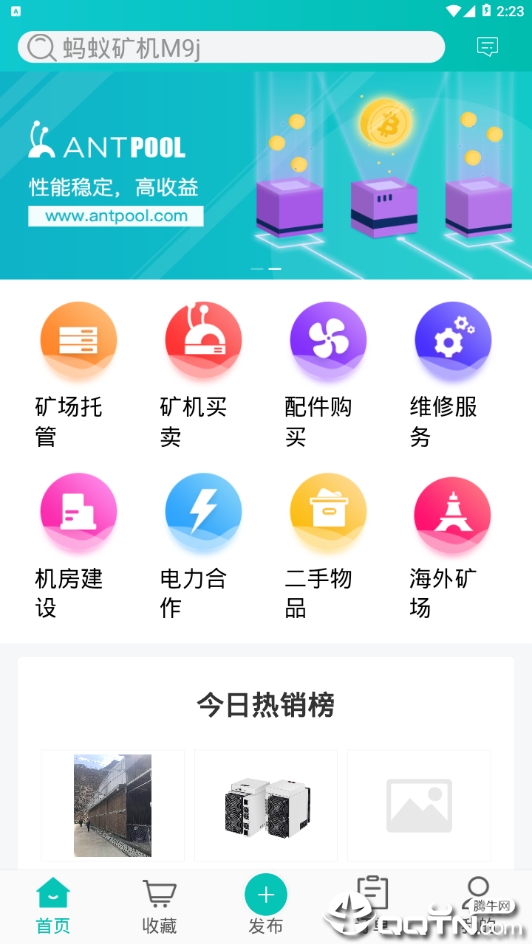 牛蛙