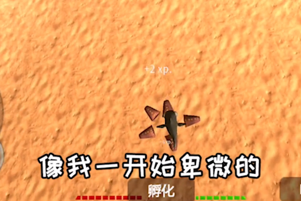 疯狂大胃王游戏