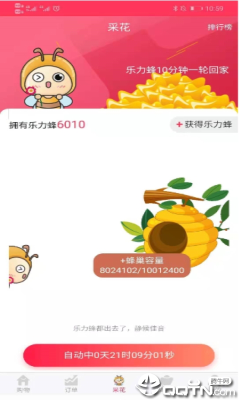 乐力蜂