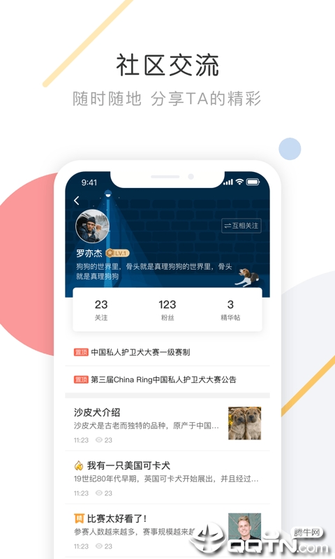 K9犬网