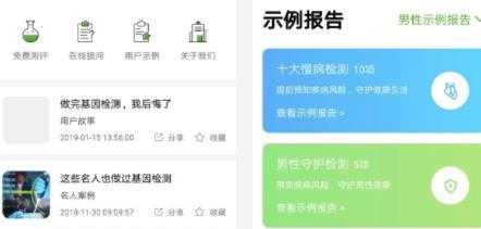 掌上云杉