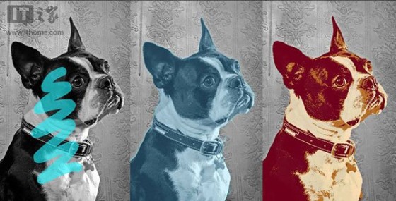 Autodesk Pixlr express电脑版