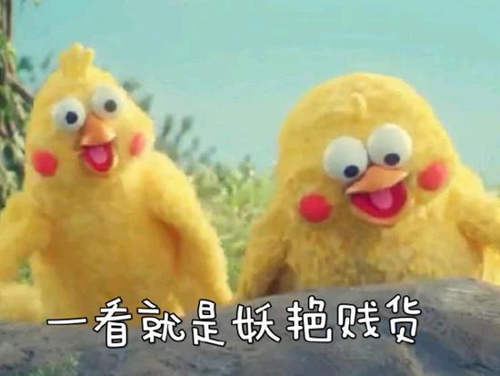 鹦鹉兄弟脆皮炸鸡表情包下载