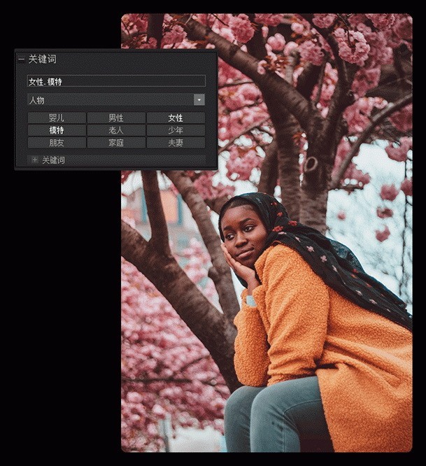acdsee2021家庭版简体中文版