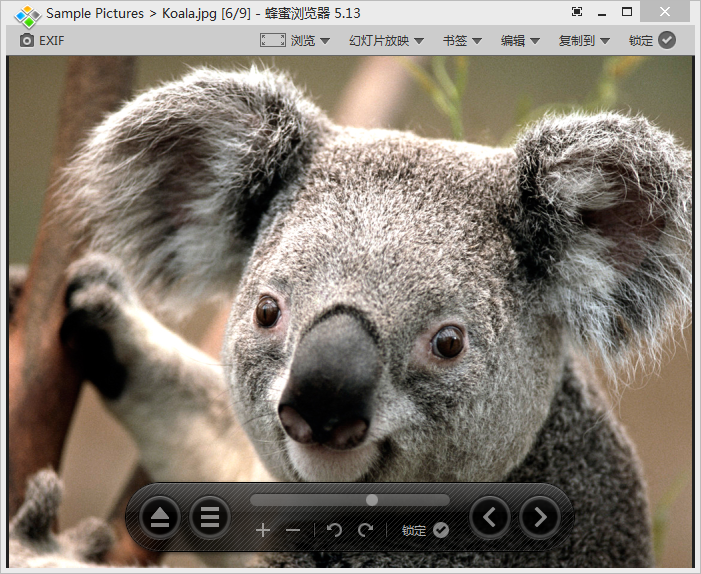 蜂蜜浏览器honeyview汉化版