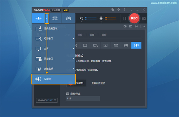 Bandicam(班迪高清录屏软件) Bandicam(班迪高清录屏软件)