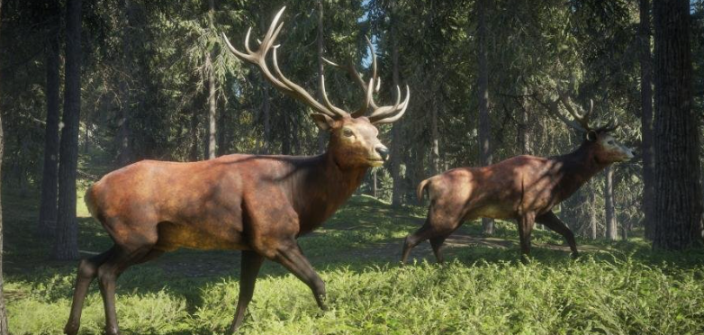 猎人野性的呼唤整合寻血猎犬