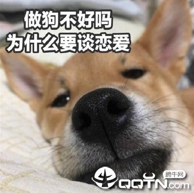 七夕情人节单身狗头像大全
