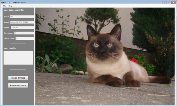 CAT CPU Tester(CPU检测工具)