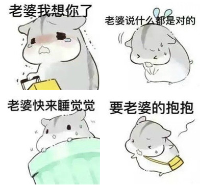 hamham仓鼠表情包老婆版下载