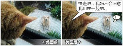 美图秀秀亮点介绍 美图秀秀2011下载