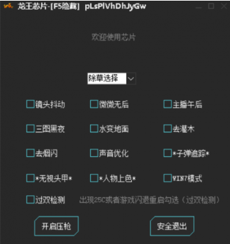 绝地求生龙王内部插件(pf过检测)辅助破解版