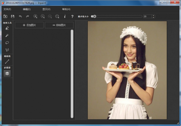teorex inpaint破解版