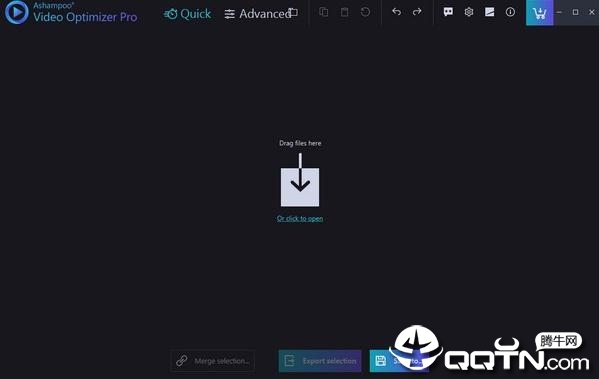Ashampoo Video Optimizer Pro