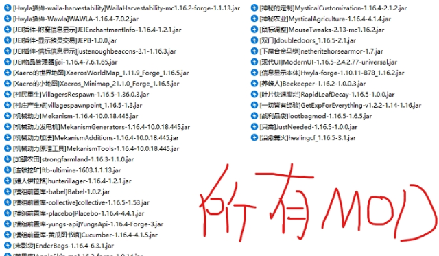 我的世界1.16.5正式版