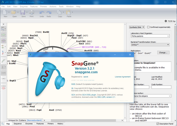 GSL Biotech SnapGene（分子生物学软件）