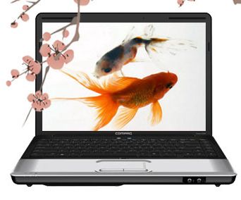 惠普cq40 511tx无线网卡驱动