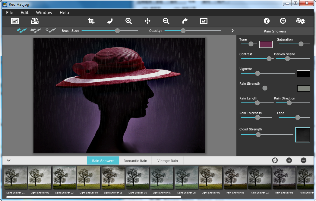 雨滴效果JixiPix Rainy Daze