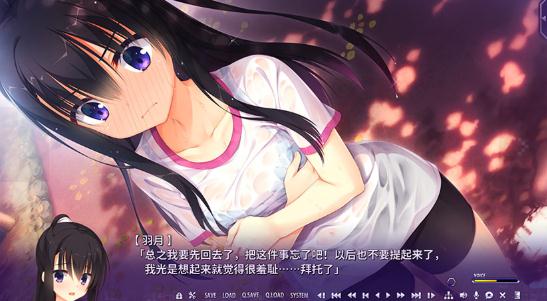 谜语小丑全CG汉化版 谜语小丑全CG汉化版