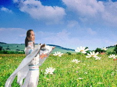 草原上的山杏花_你化做柴薪温暖千万家