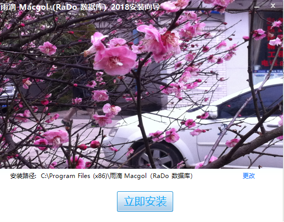 雨滴Macgol(roda数据库)