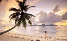 三亚去旅游_南海姑娘