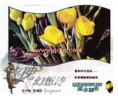 花非花 纯音乐QQ场景