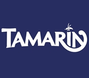 狨猴Tamarin学习版