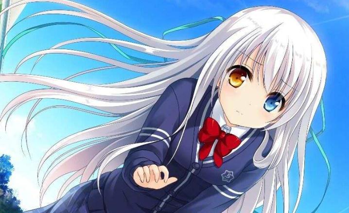 Galgame免通用认证补丁