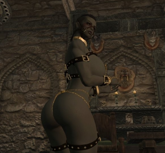 上古卷轴5天际女性猎奇拘束服mod