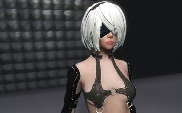 上古卷轴5天际女性猎奇拘束服mod