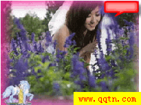 QQ场景 薰衣草花语